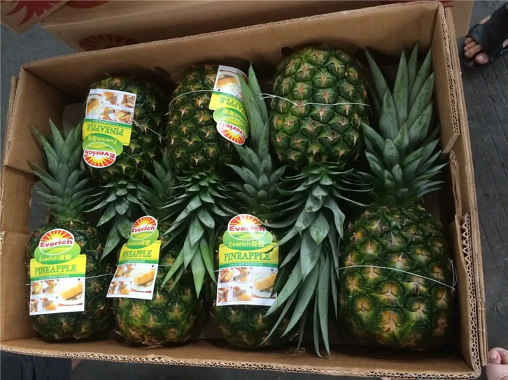 鮮菠蘿進口清關代理操作案例分享