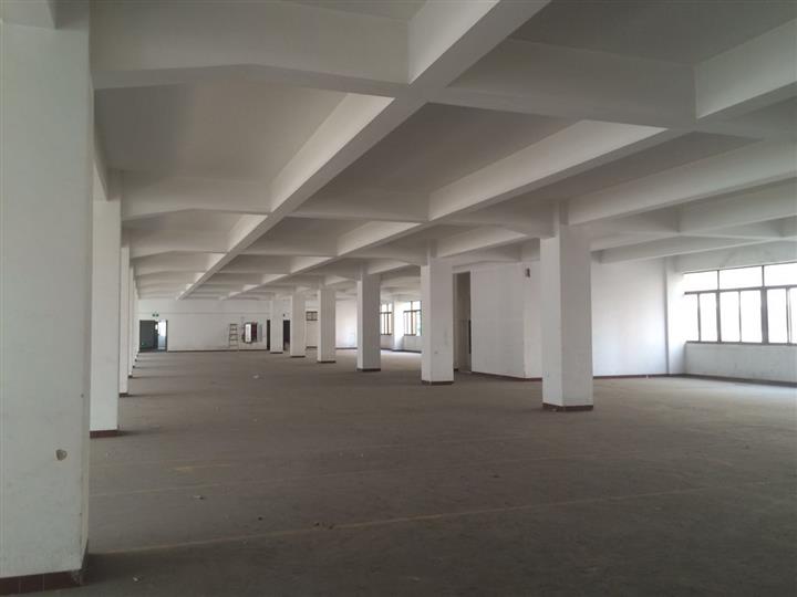 1543647526284638.jpeg 廣州碼頭倉庫