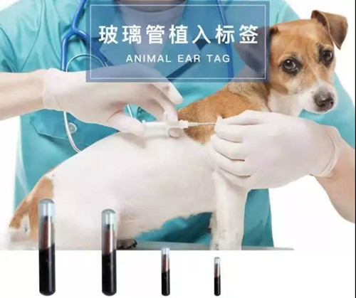 1570758626218486.jpg 寵物進口報關