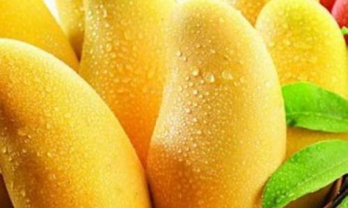 泰國芒果進(jìn)口報關(guān)