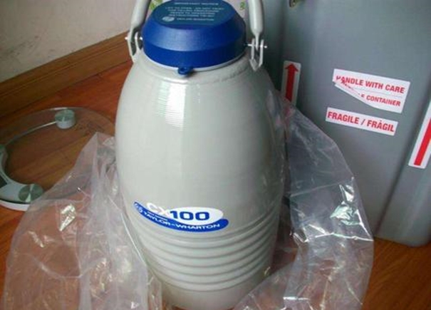 液氮罐進(jìn)口清關(guān)案例分享,急客戶所急 液氮罐進(jìn)口清關(guān)