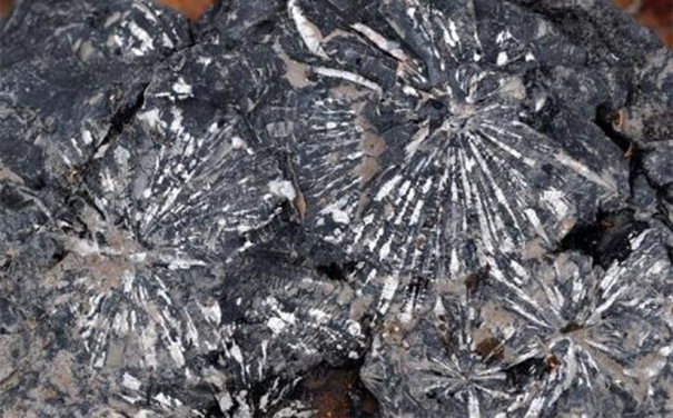 鎳礦石進口清關所需資料以及注意事項 鎳礦石進口清關