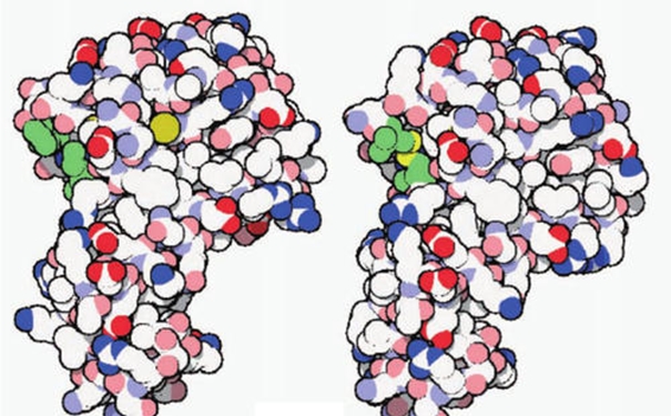 【進(jìn)口酶清關(guān)代理】的流程,一般貿(mào)易進(jìn)口酶 進(jìn)口酶清關(guān)代理