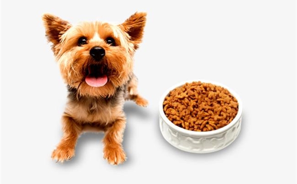 一篇搞懂美國進口寵物糧食清關(guān)代理一站式服務(wù)流程 美國進口寵物糧食清關(guān)代理