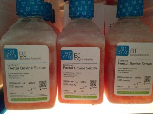 1629780068975448.jpg 生物制品進(jìn)口清關(guān)代理_副本.jpg