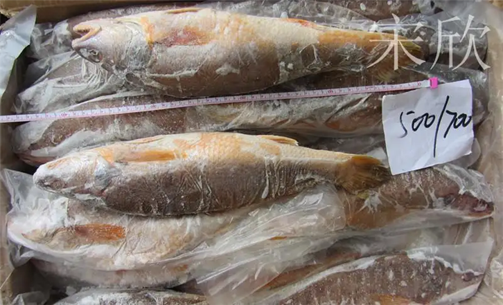 1651225653687561.png 上海冷凍魚進(jìn)口報(bào)關(guān) (2)_副本.png