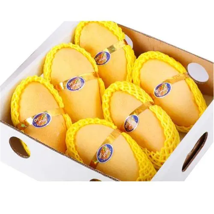 1655463558563923.png 進(jìn)口巴基斯坦鮮芒果報關(guān) (2).png