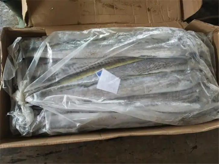 1656410239457185.png 進(jìn)口印尼冷凍帶魚(yú)報(bào)關(guān).png