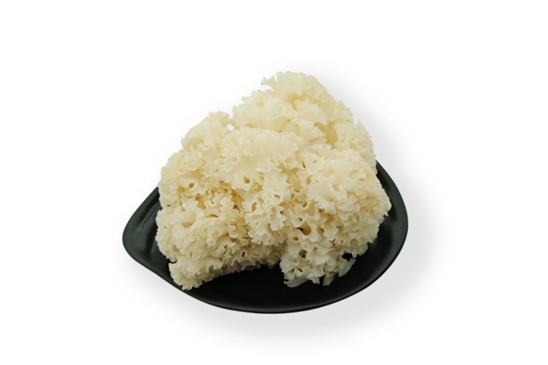 進(jìn)口營(yíng)養(yǎng)植物報(bào)關(guān) 進(jìn)口營(yíng)養(yǎng)植物報(bào)關(guān)