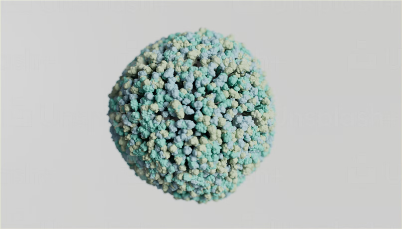 1677151602516365.png 美國細胞進口報關(guān).png