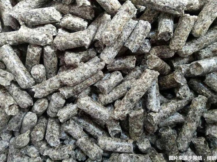 1678097107528828.jpg 俄羅斯進口甜菜粕顆粒報關.jpg