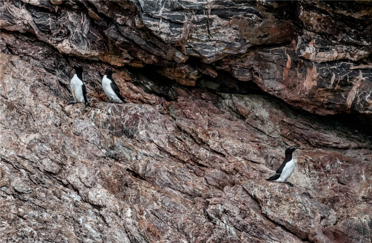 1681210468228244.png 銻礦石進口報關公司.png