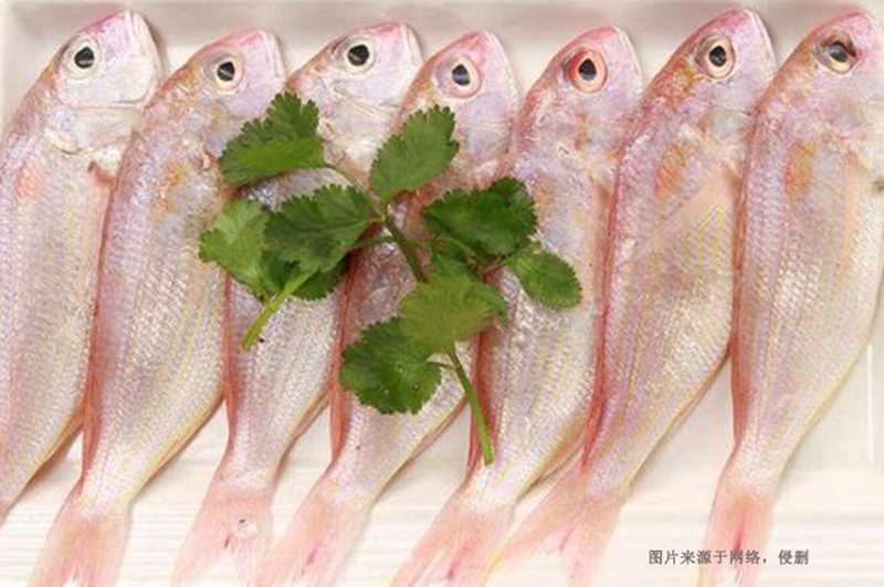 越南冷凍魚(yú)進(jìn)口清關(guān)資料 越南冷凍魚(yú)進(jìn)口清關(guān)資料