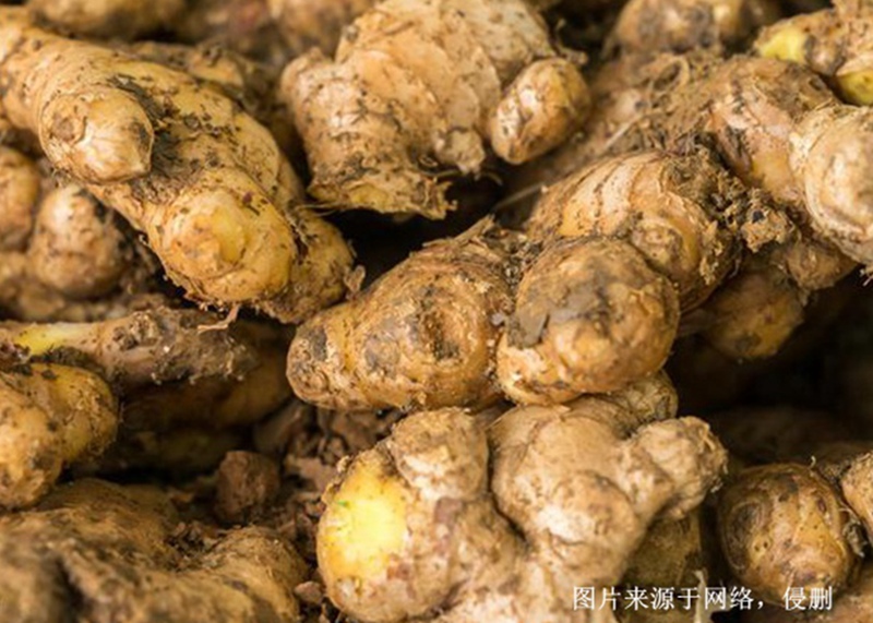 越南生姜進口清關(guān)流程